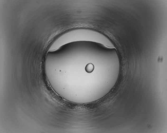 X0000115080207200911171202