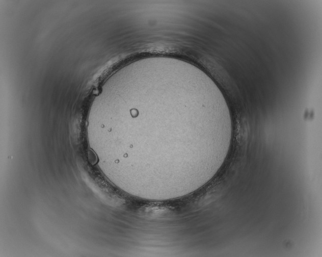 X0000115080208200911171202