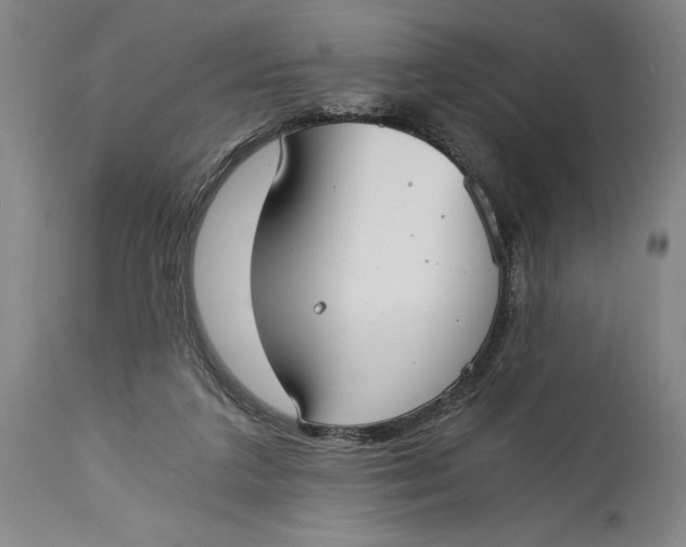 X0000115080211200911171202