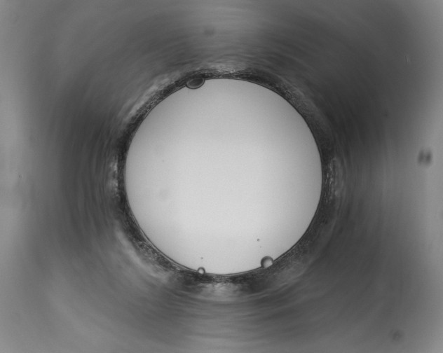 X0000115080212200911171202