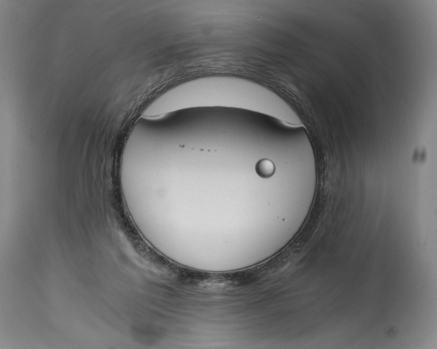 X0000115080213200911171202