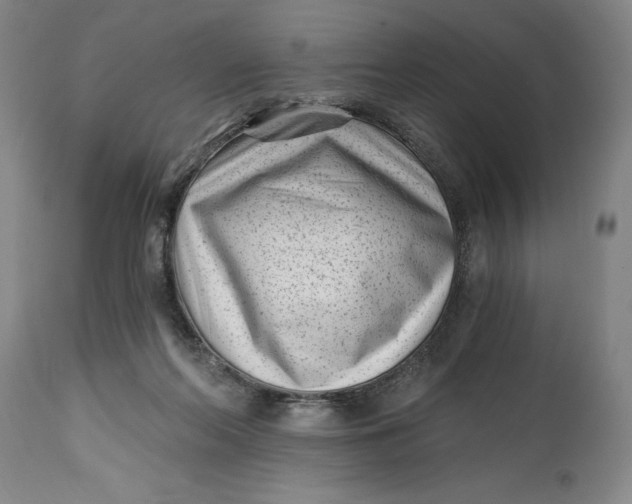 X0000115080214200911171202