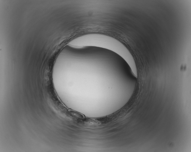 X0000115080215200911171201