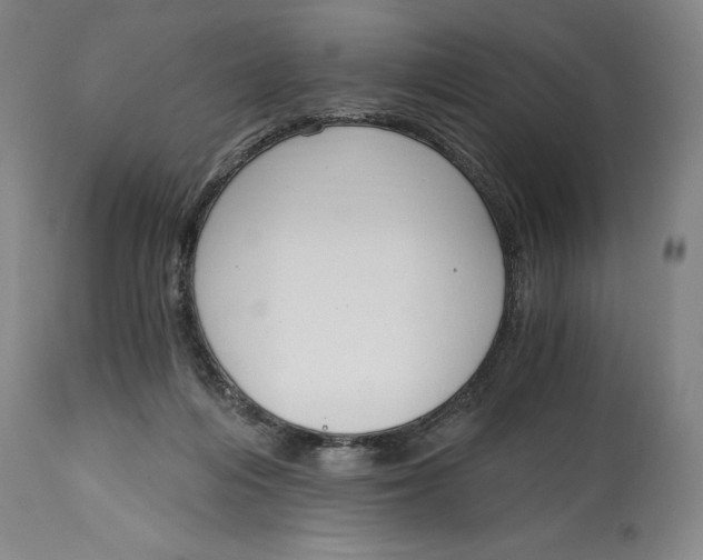 X0000115080216200911171201