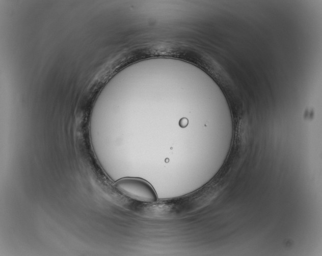 X0000115080217200911171201