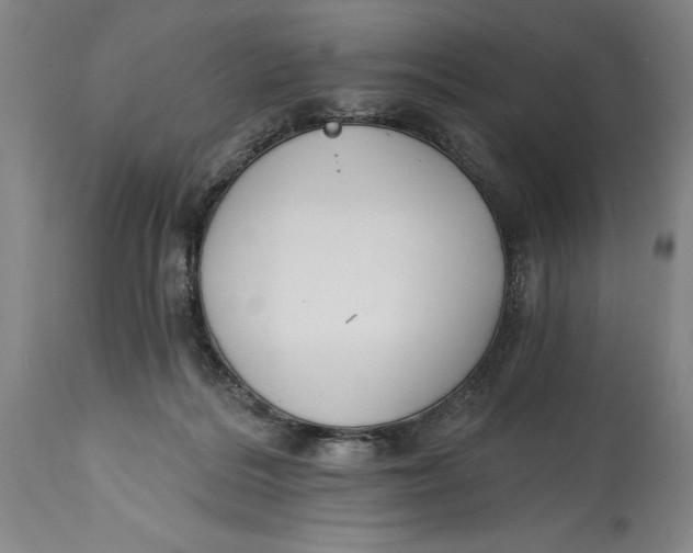 X0000115080220200911171201