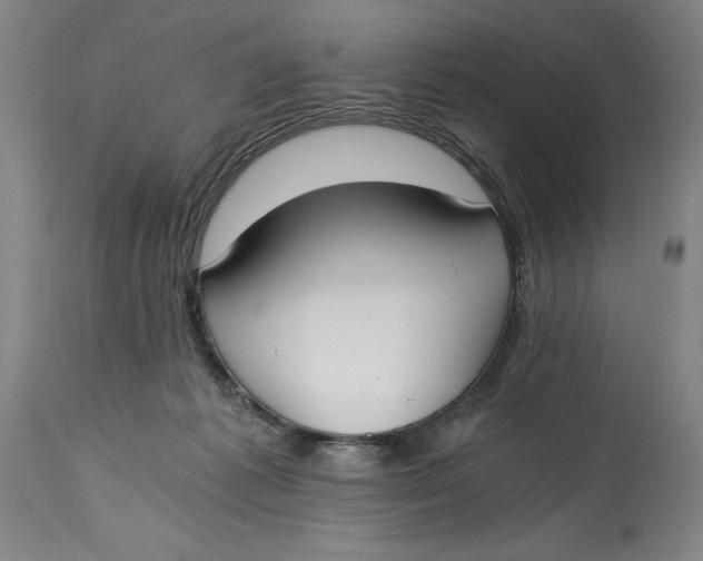 X0000115080221200911171201