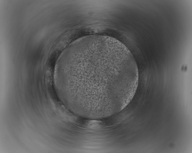 X0000115080222200911171201