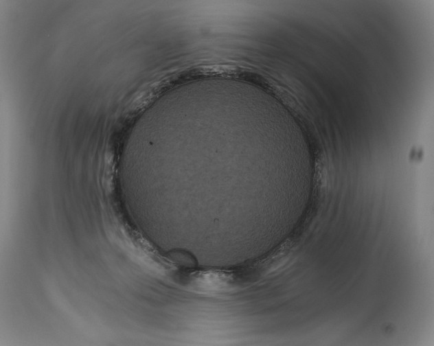X0000115080223200911171201
