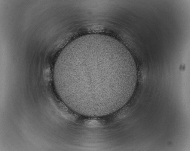 X0000115080224200911171201