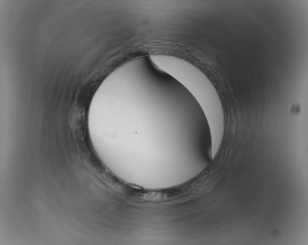 X0000115080225200911171201