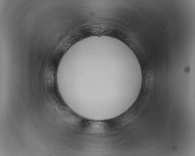 X0000115080226200911171201