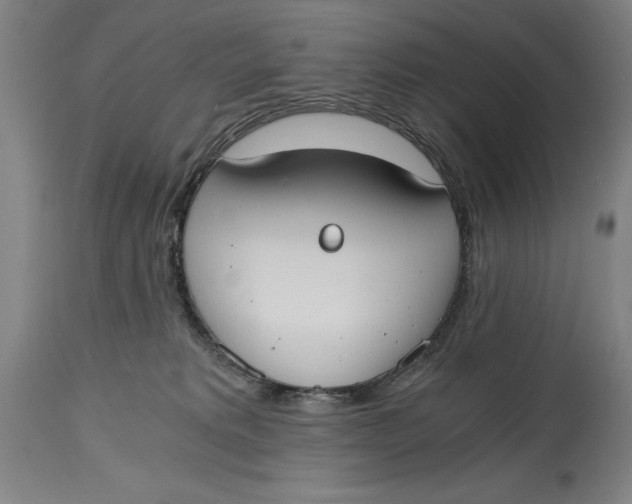X0000115080229200911171201