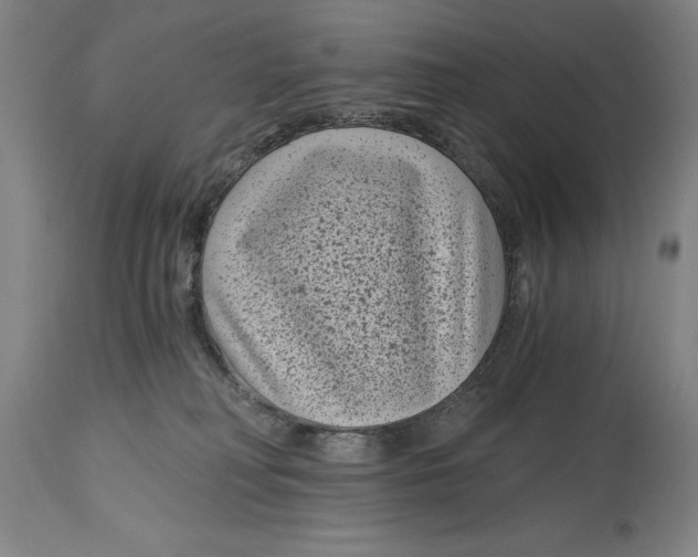X0000115080230200911171201