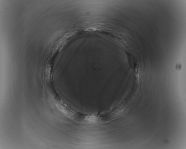 X0000115080231200911171201