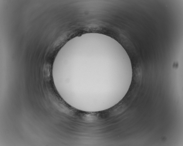 X0000115080232200911171201