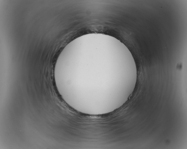 X0000115080233200911171201