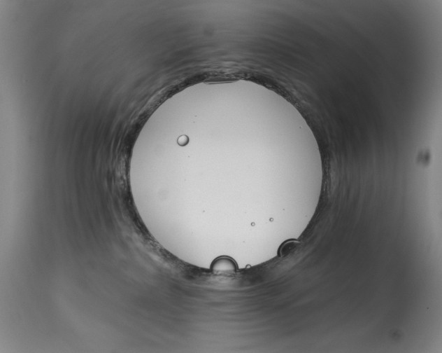 X0000115080236200911171201