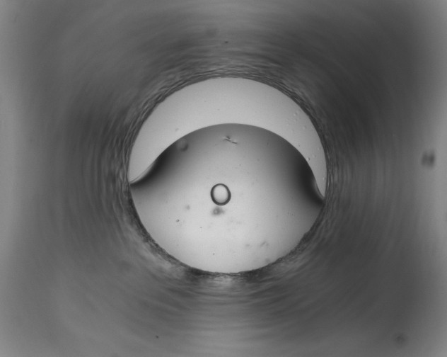 X0000115080237200911171201