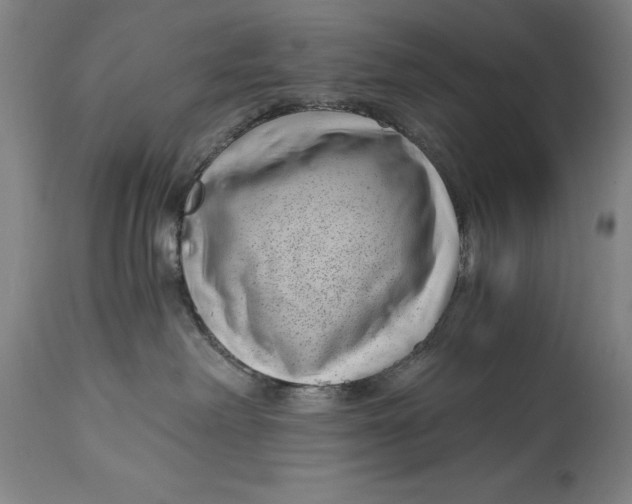 X0000115080238200911171201