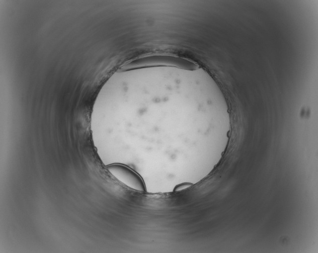 X0000115080240200911171201