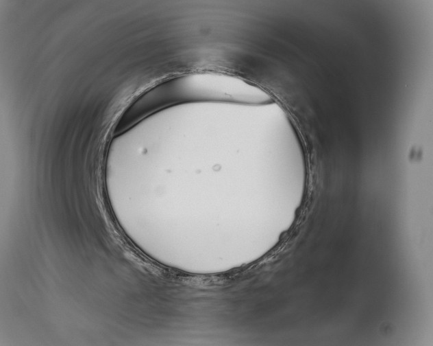 X0000115080241200911171200