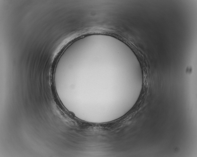 X0000115080244200911171200