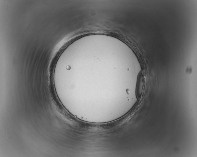 X0000115080246200911171200