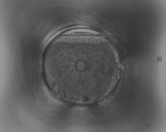 X0000115080247200911171200