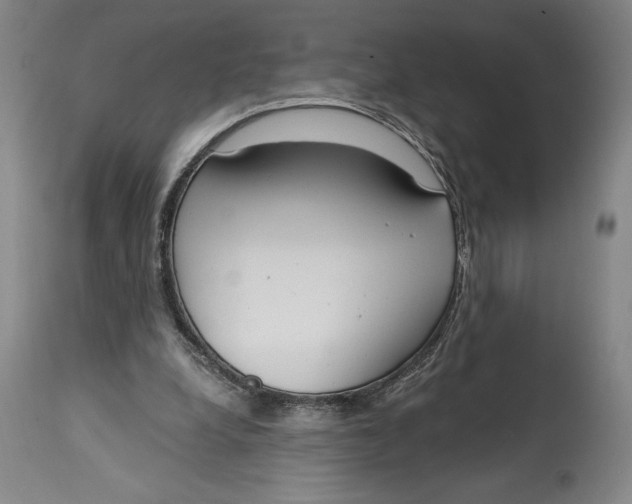 X0000115080248200911171200
