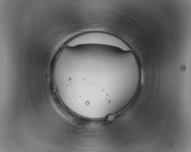 X0000115080252200911171200