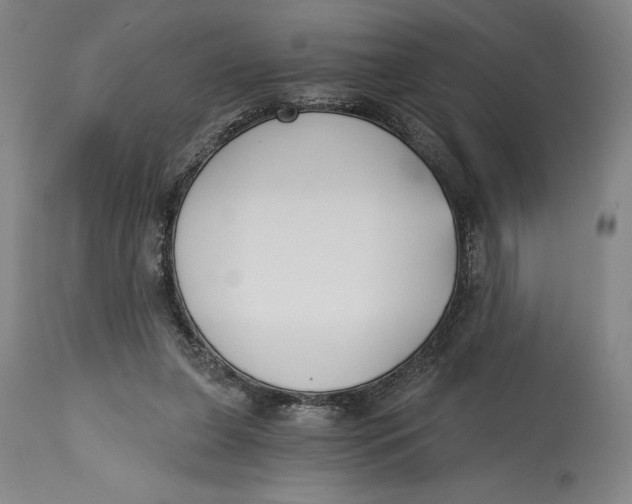 X0000115080255200911171200