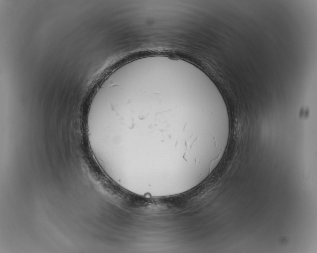 X0000115080256200911171200