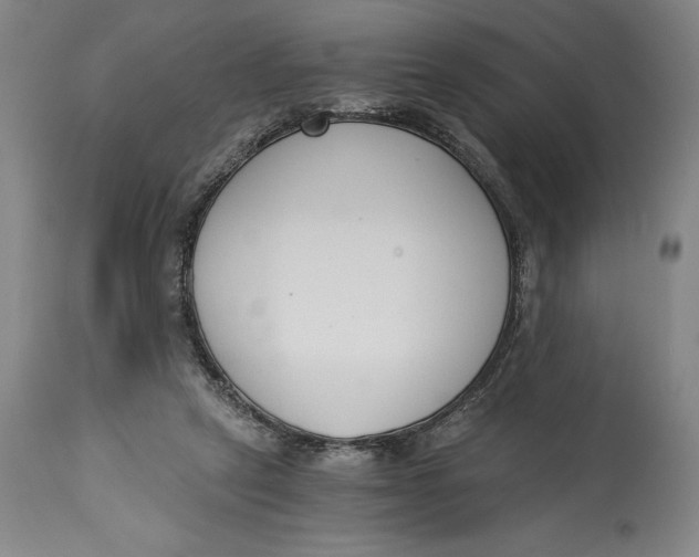 X0000115080257200911171200