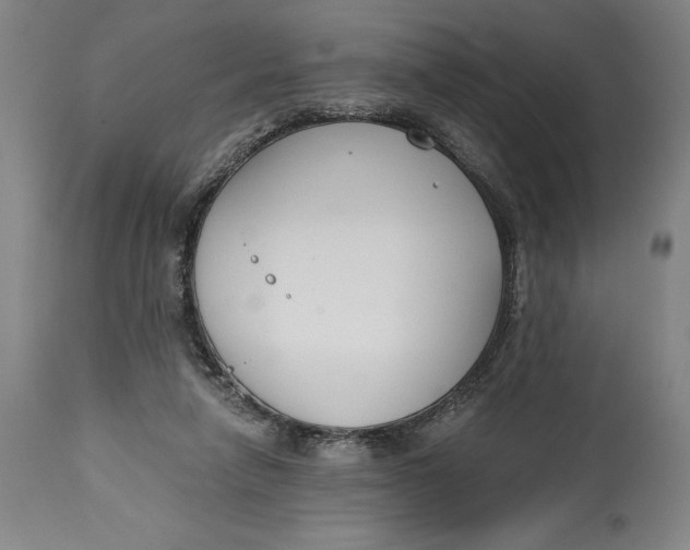 X0000115080258200911171200
