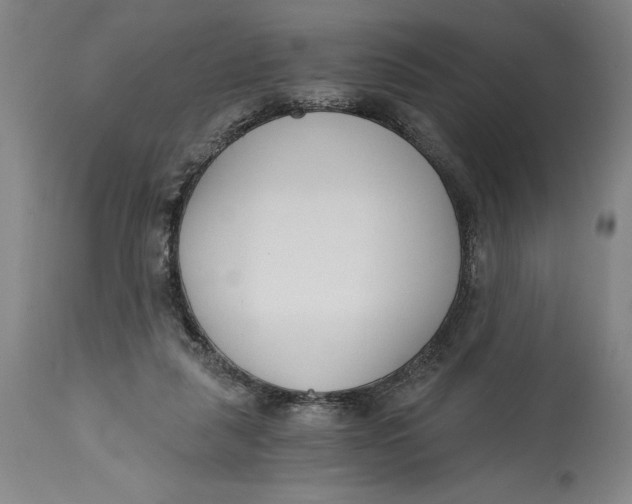 X0000115080259200911171201