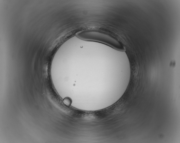X0000115080262200911171201