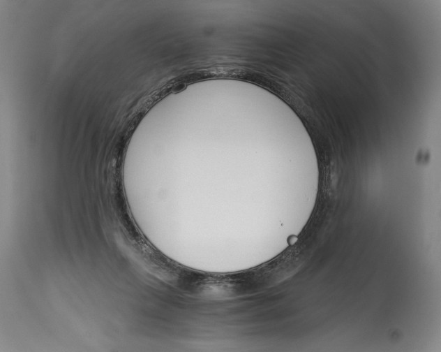 X0000115080263200911171201