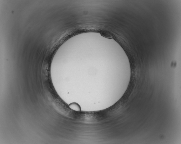 X0000115080264200911171201