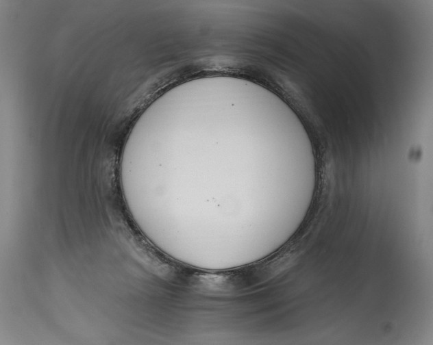 X0000115080265200911171201