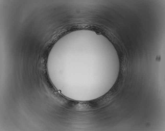 X0000115080270200911171201