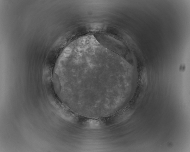 X0000115080272200911171201