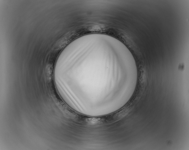 X0000115080273200911171201