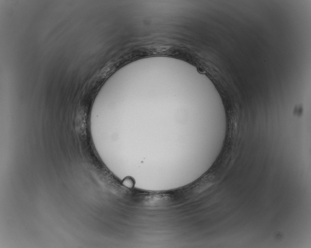 X0000115080274200911171201