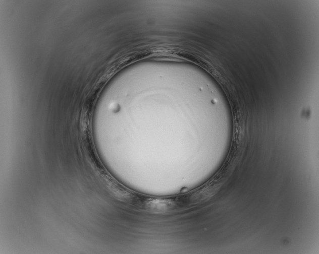 X0000115080277200911171201