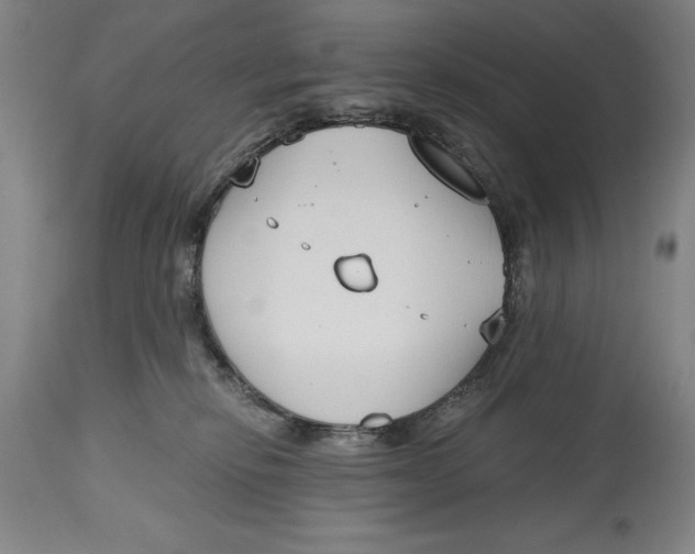 X0000115080278200911171201