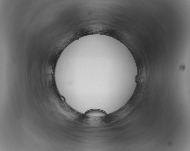 X0000115080279200911171201