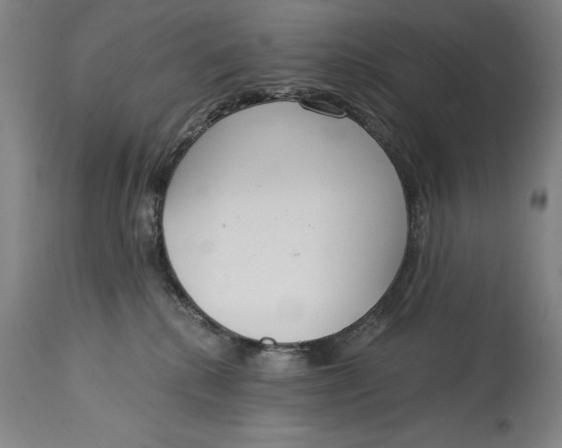 X0000115080280200911171201