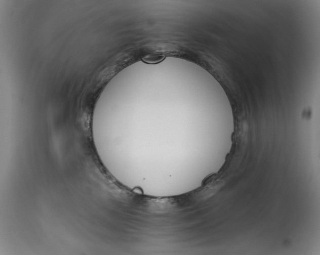 X0000115080281200911171201