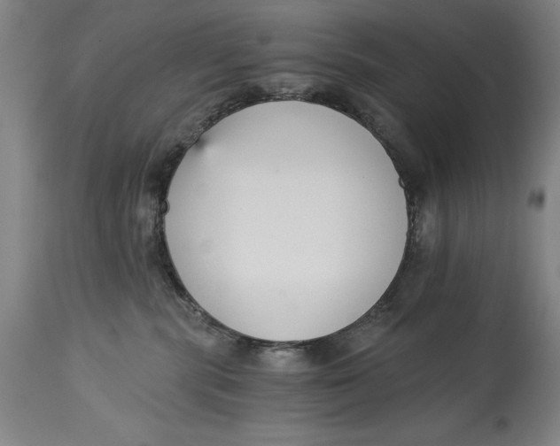 X0000115080283200911171201